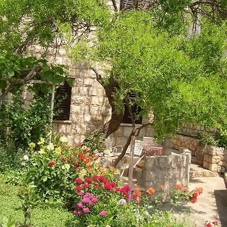 זאטון Apartments Boris מראה חיצוני תמונה